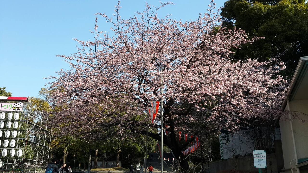 2014年3月に向井建設株式会社の建設現場及び寮においての二ベルコ実習生の写真